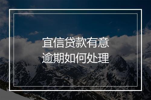 宜信贷款有意逾期如何处理