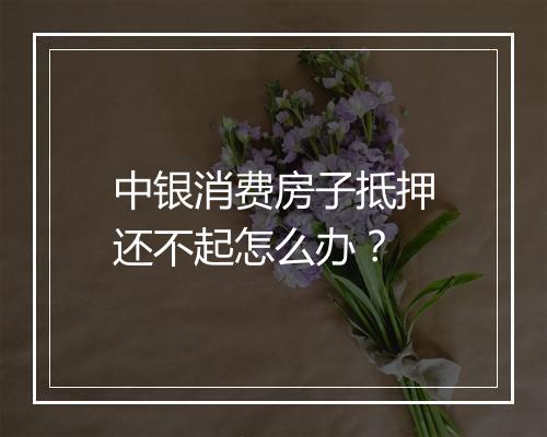 中银消费房子抵押还不起怎么办？