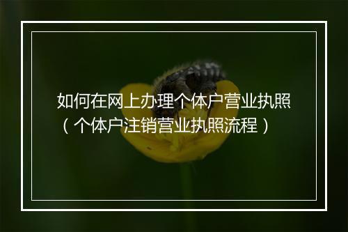 如何在网上办理个体户营业执照（个体户注销营业执照流程）