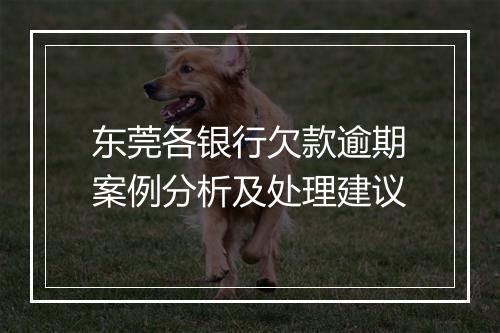 东莞各银行欠款逾期案例分析及处理建议