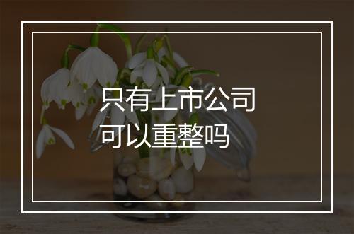 只有上市公司可以重整吗