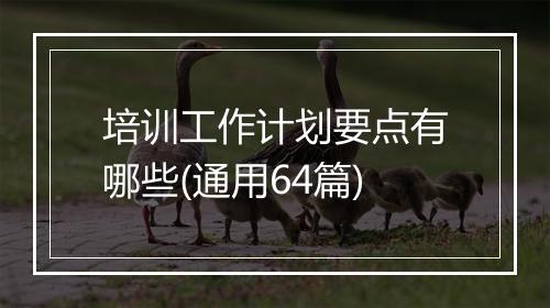 培训工作计划要点有哪些(通用64篇)