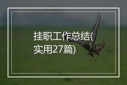 挂职工作总结(实用27篇)