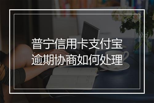 普宁信用卡支付宝逾期协商如何处理