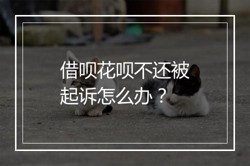 借呗花呗不还被起诉怎么办？