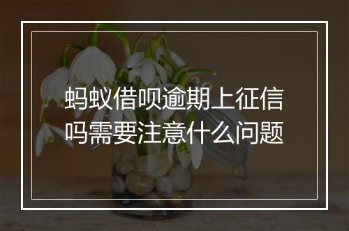 蚂蚁借呗逾期上征信吗需要注意什么问题