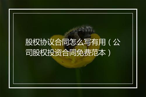 股权协议合同怎么写有用（公司股权投资合同免费范本）