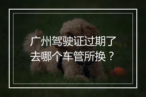 广州驾驶证过期了去哪个车管所换？