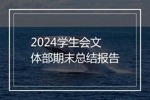 2024学生会文体部期末总结报告