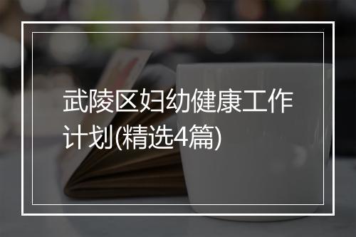 武陵区妇幼健康工作计划(精选4篇)