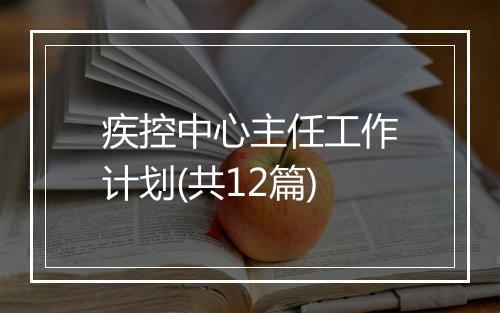 疾控中心主任工作计划(共12篇)