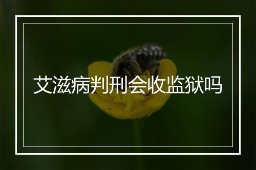 艾滋病判刑会收监狱吗