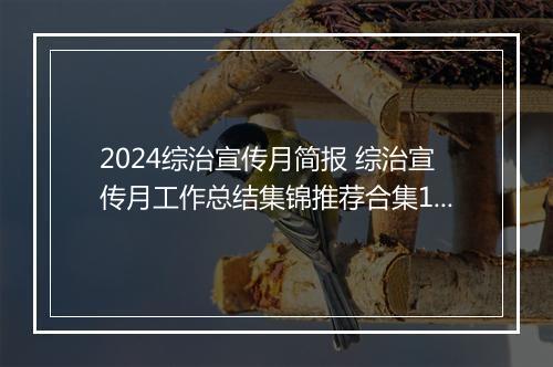 2024综治宣传月简报 综治宣传月工作总结集锦推荐合集10篇
