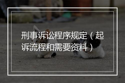 刑事诉讼程序规定（起诉流程和需要资料）