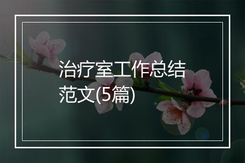 治疗室工作总结范文(5篇)