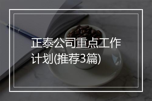 正泰公司重点工作计划(推荐3篇)