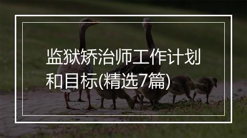 监狱矫治师工作计划和目标(精选7篇)