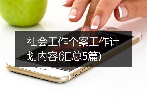 社会工作个案工作计划内容(汇总5篇)