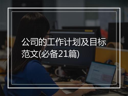 公司的工作计划及目标范文(必备21篇)