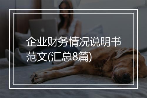 企业财务情况说明书范文(汇总8篇)