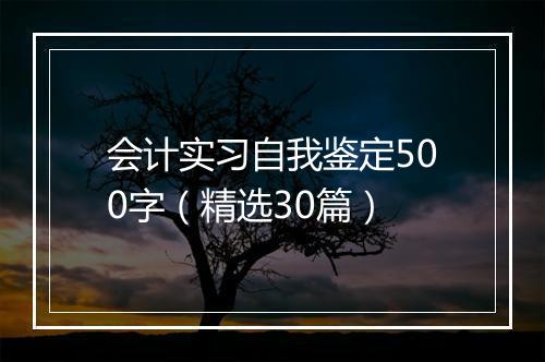 会计实习自我鉴定500字（精选30篇）