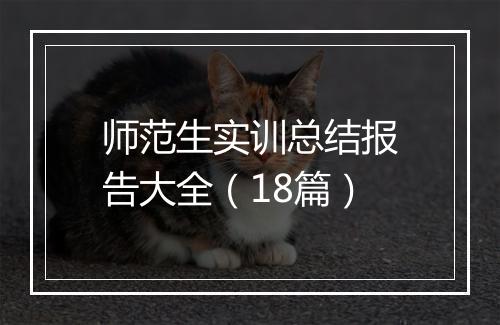 师范生实训总结报告大全（18篇）