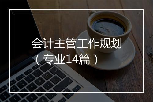 会计主管工作规划（专业14篇）