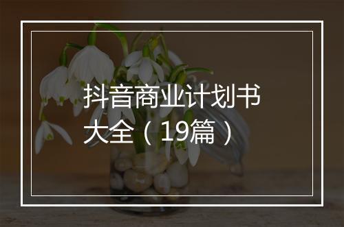 抖音商业计划书大全（19篇）