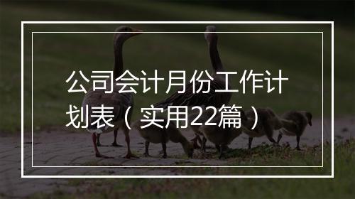 公司会计月份工作计划表（实用22篇）