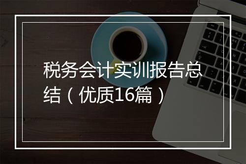 税务会计实训报告总结（优质16篇）