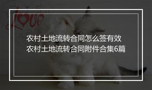 农村土地流转合同怎么签有效 农村土地流转合同附件合集6篇