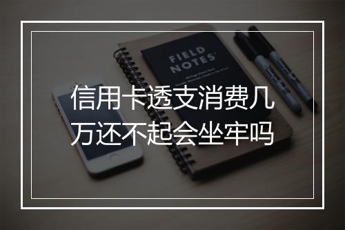 信用卡透支消费几万还不起会坐牢吗