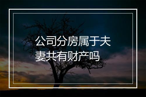 公司分房属于夫妻共有财产吗