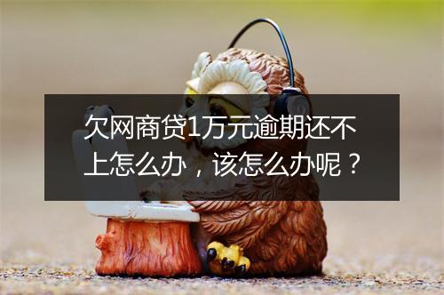 欠网商贷1万元逾期还不上怎么办，该怎么办呢？