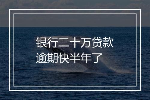 银行二十万贷款逾期快半年了