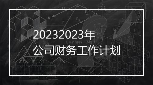 20232023年公司财务工作计划