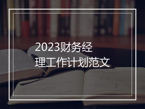 2023财务经理工作计划范文
