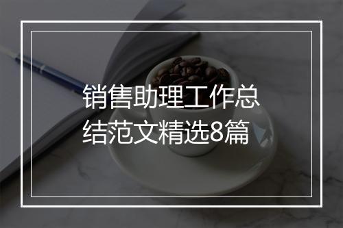 销售助理工作总结范文精选8篇
