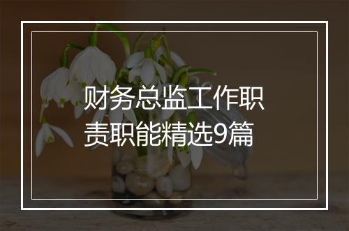财务总监工作职责职能精选9篇