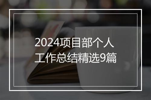 2024项目部个人工作总结精选9篇