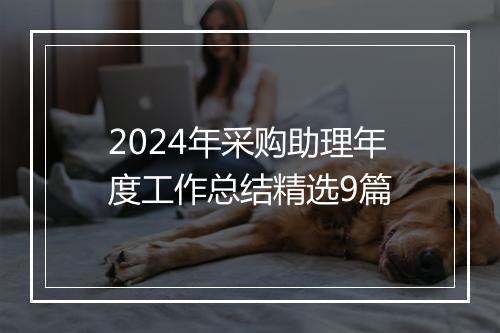 2024年采购助理年度工作总结精选9篇