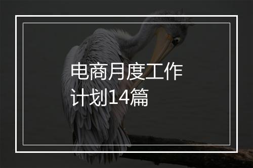 电商月度工作计划14篇