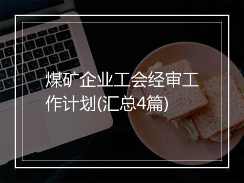 煤矿企业工会经审工作计划(汇总4篇)