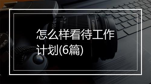 怎么样看待工作计划(6篇)