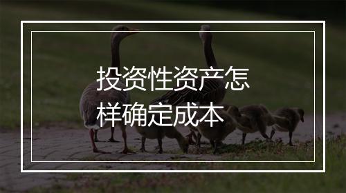 投资性资产怎样确定成本