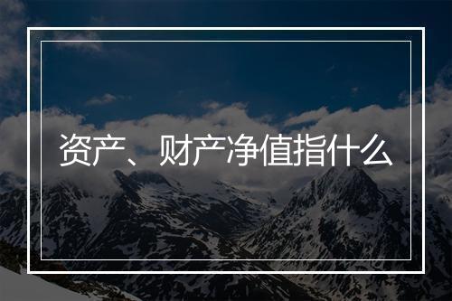 资产、财产净值指什么