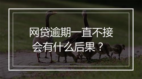 网贷逾期一直不接 会有什么后果？