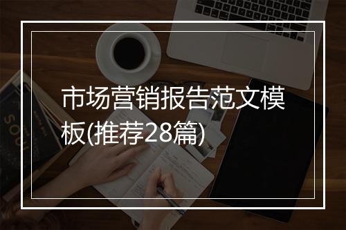 市场营销报告范文模板(推荐28篇)
