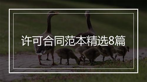 许可合同范本精选8篇