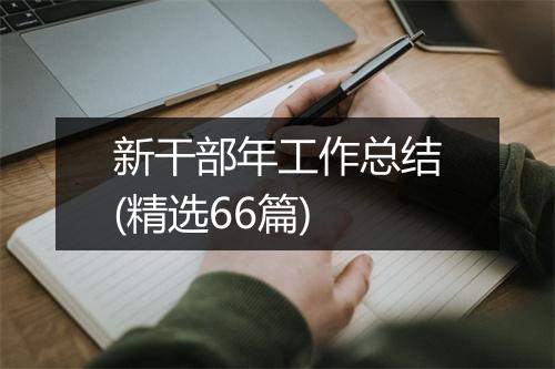 新干部年工作总结(精选66篇)
